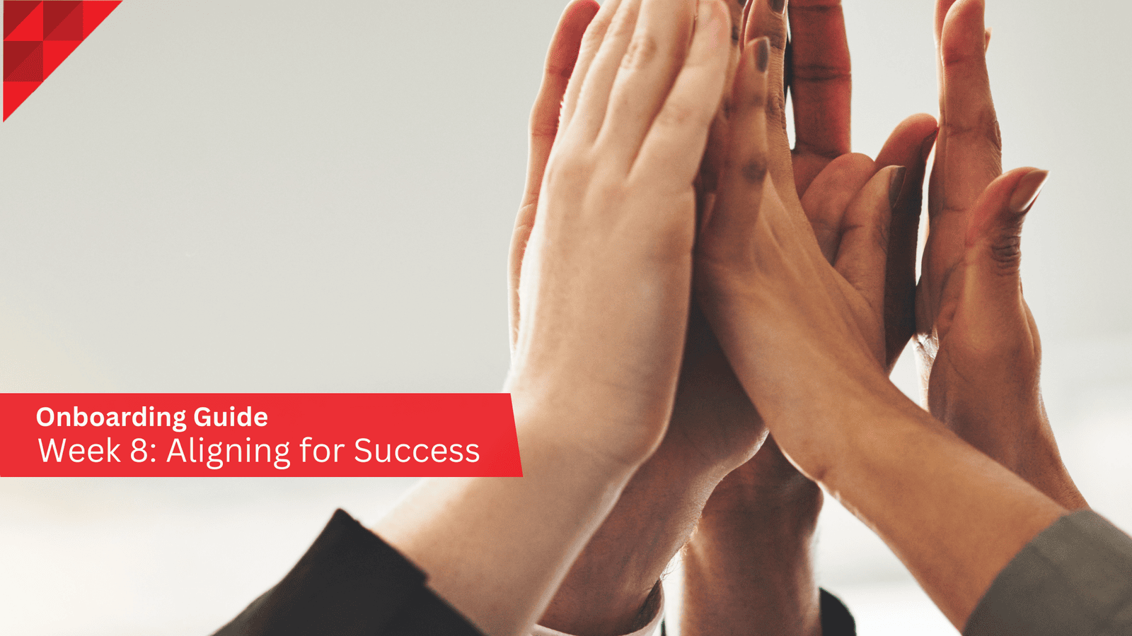 Aligning for Success: Week 8 as a Marketing Operations Manager